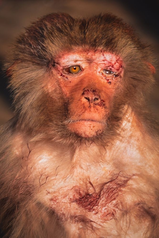 The sun is about to set over her empire.