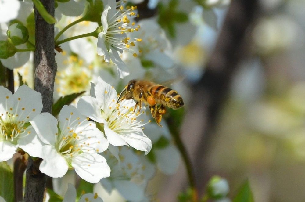 Photograph by Афанасьев Владимир