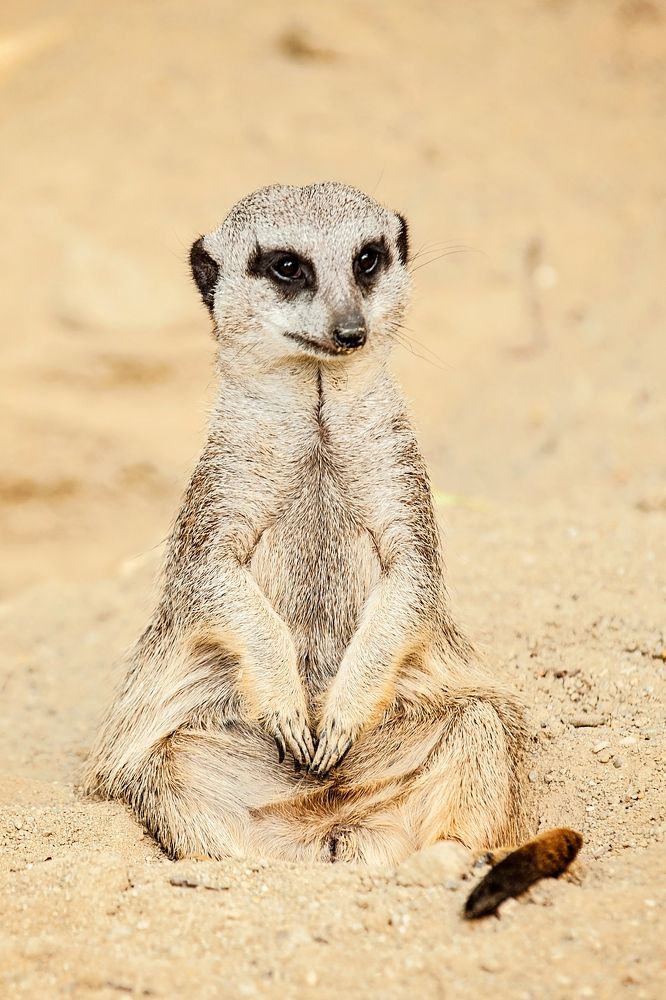 Фотография автора Valeria Akerlund