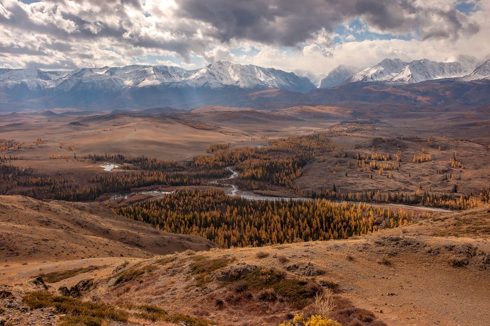 Курайская степь. Место впадения Актуру в Чую