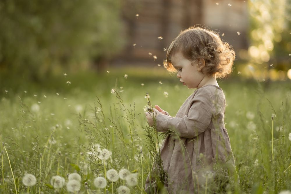 Маленький одуванчик