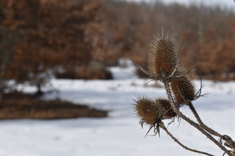 Photograph by vlatko vasilevski