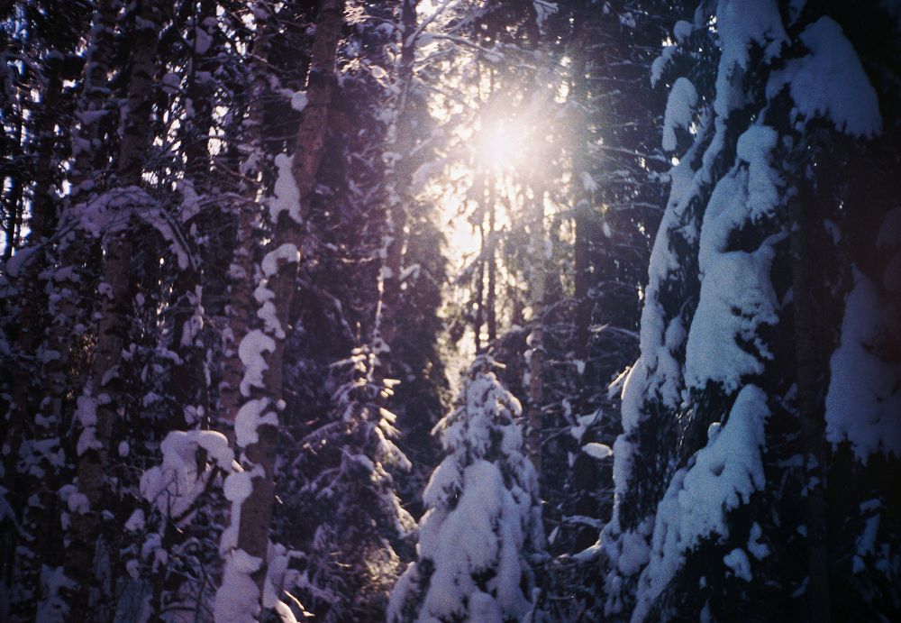 Photograph by София Гаязова