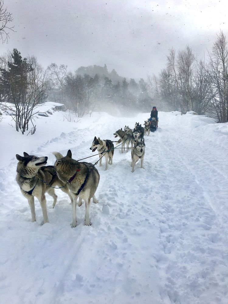Photograph by Евгения Брусенцова