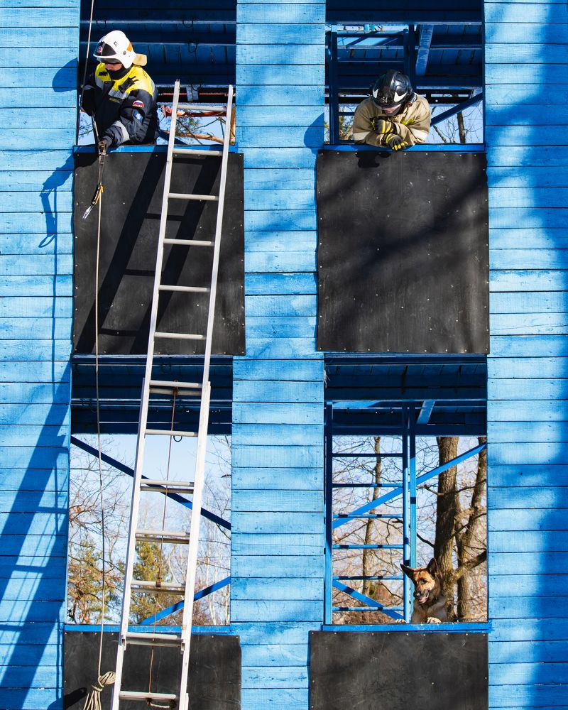 Практика / Training