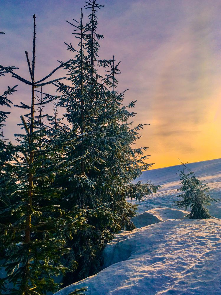 Фотография автора Artem Zheleznyakov