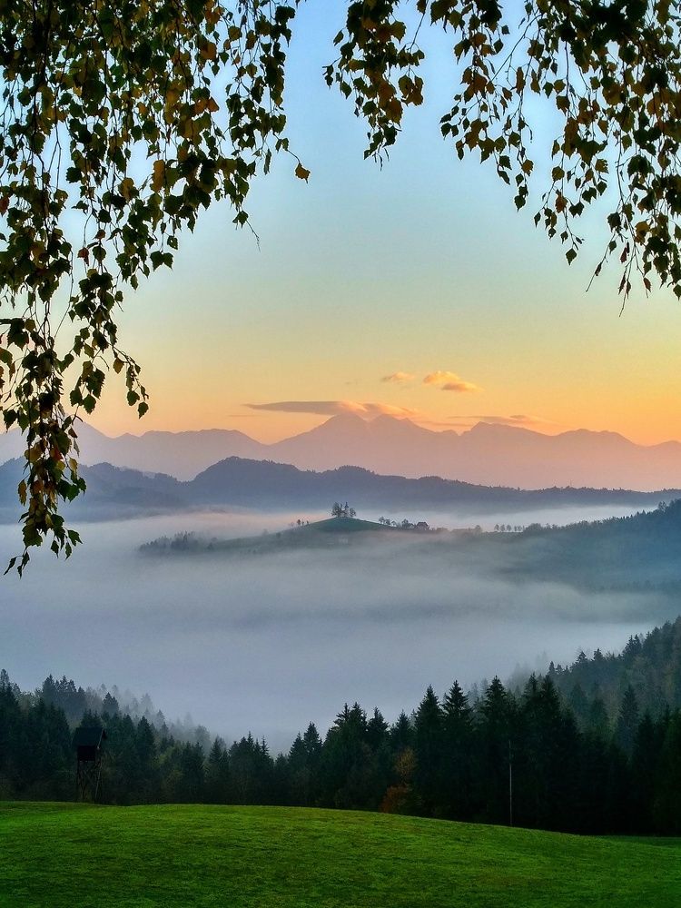 Туманное утро