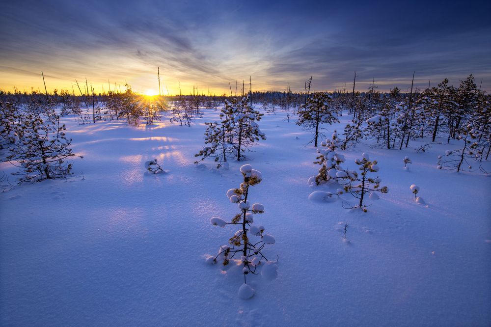 Солнца лучи