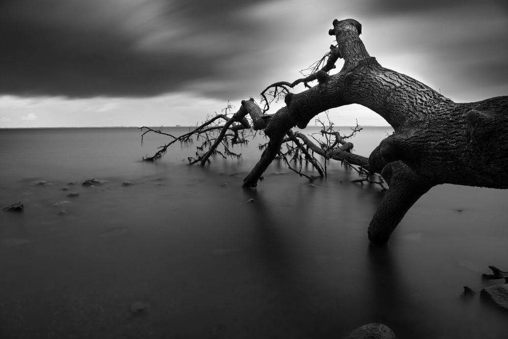 Рука дьявола