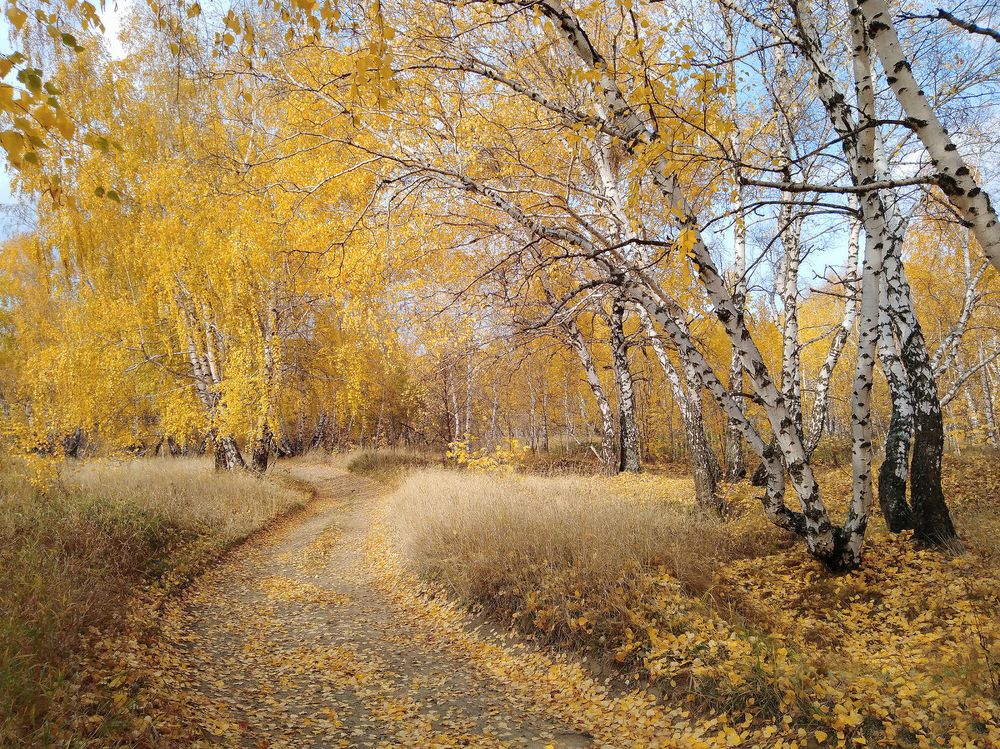 Про золотую осень