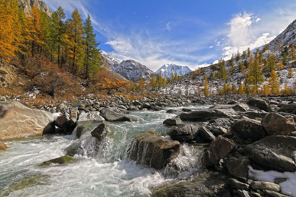 Осенняя палитра.
