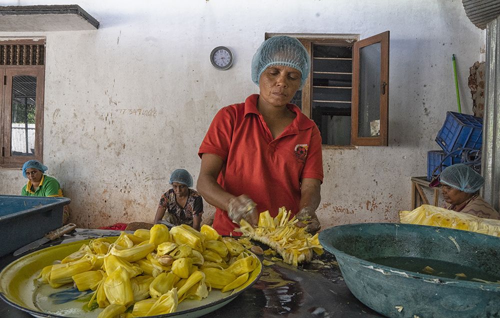 Dehydrated Jak Fruit