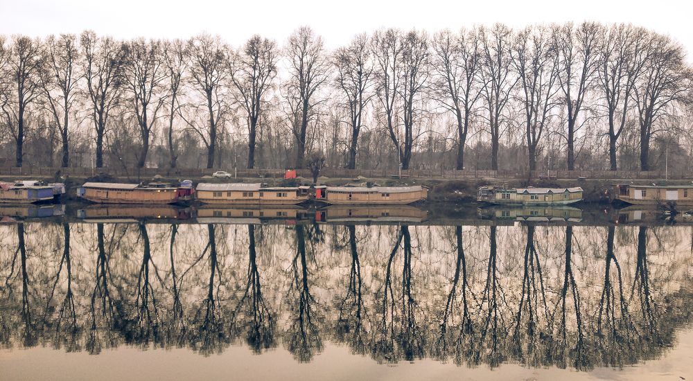 Reflections