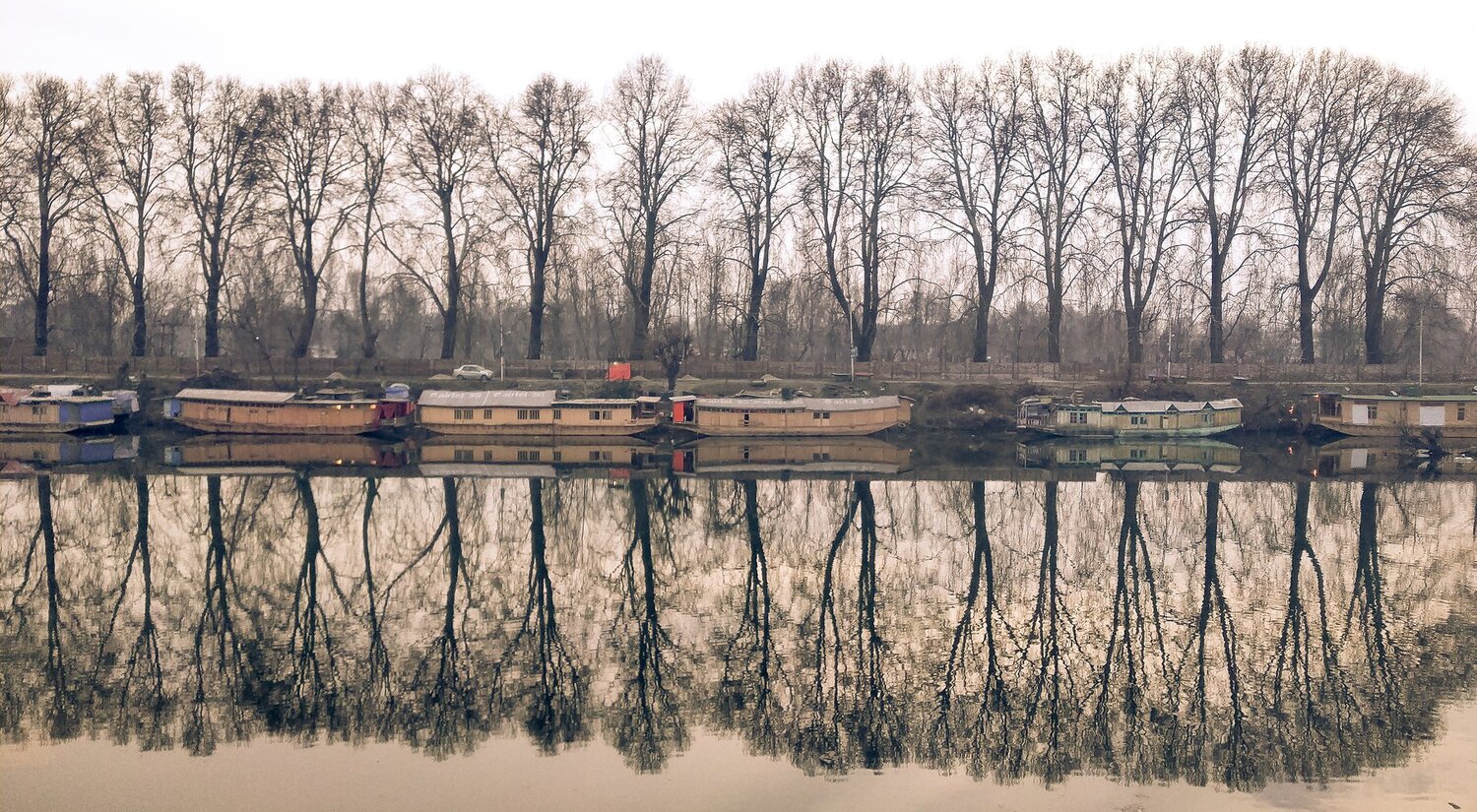 Reflections