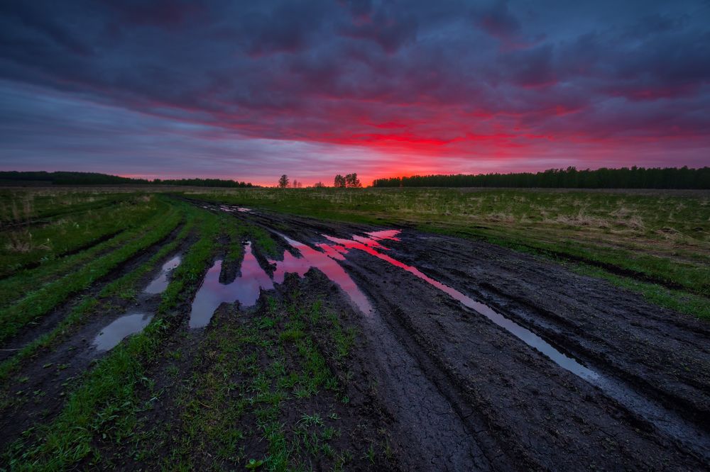 Моя прекрасная лужа