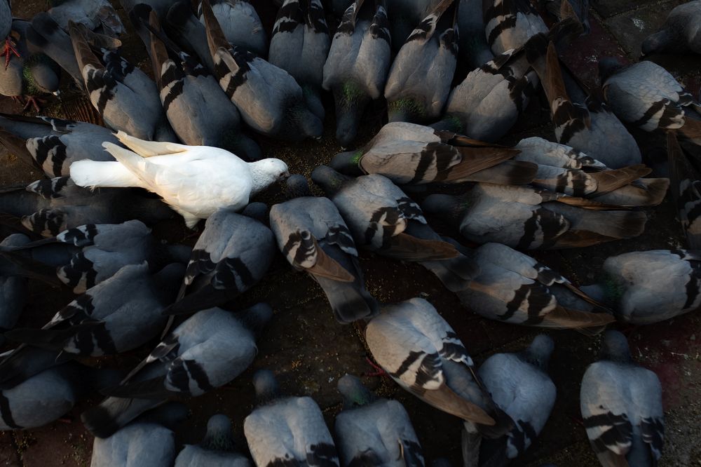Say No to Racism