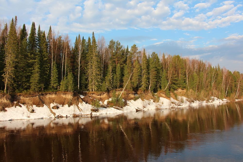 Майский пейзаж Томского Севера