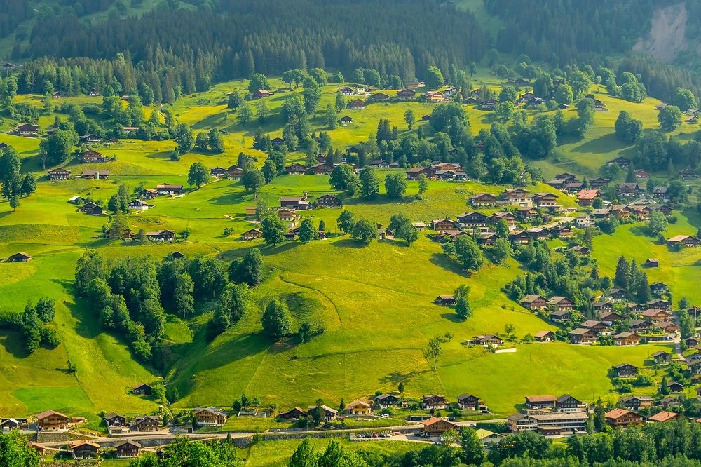 Фотография автора Андрей Симонов