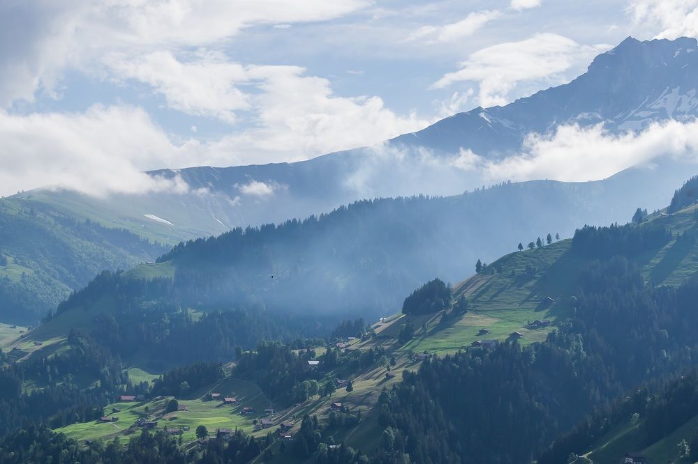 Фотография автора Андрей Симонов