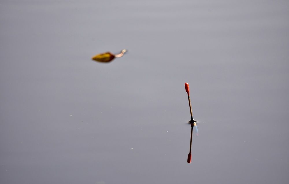 Photograph by Вячеслав Камышев