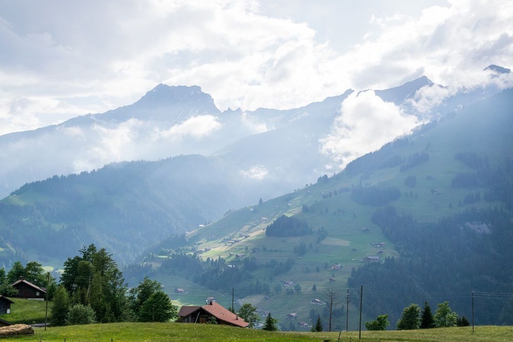 Фотография автора Андрей Симонов