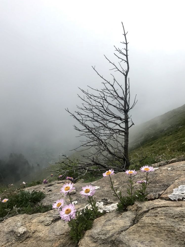 Photograph by Юлия Усова