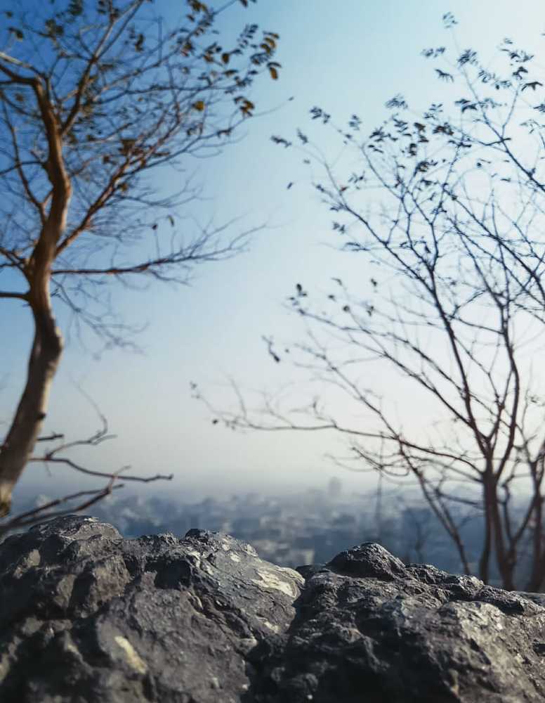 NATURE
