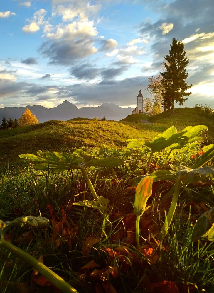 Утро в Словении