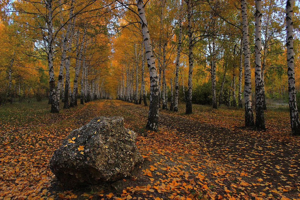 Саратовская осень