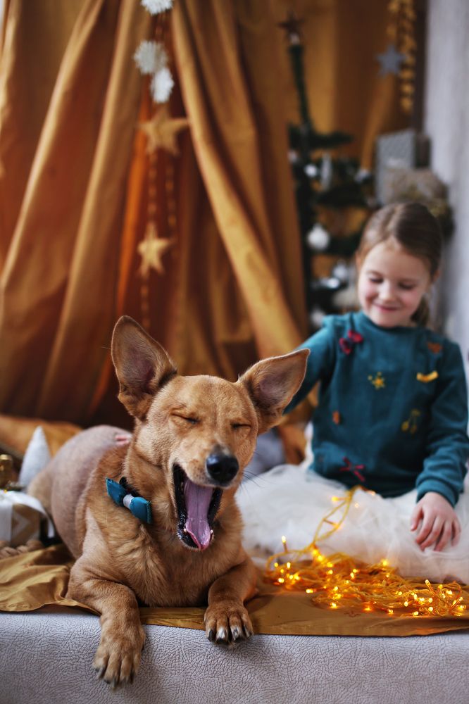 Баксик и дети