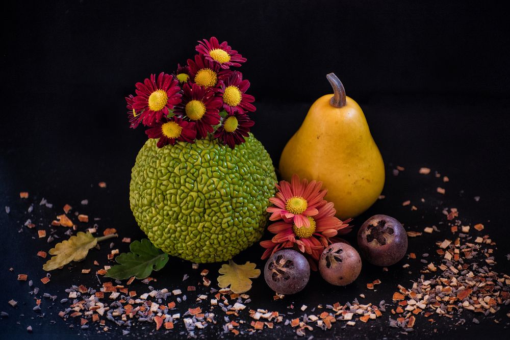 Fruits & Flowers