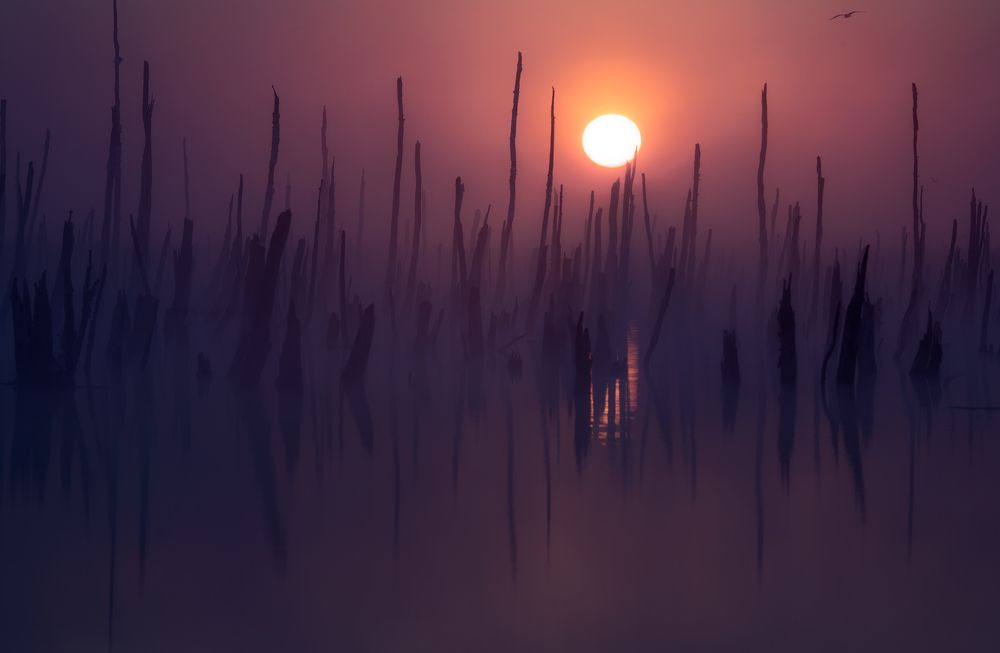 Вне времени