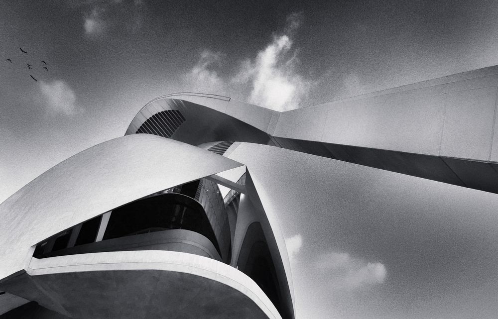 Calatrava, Palau de les Arts Reina Sofia