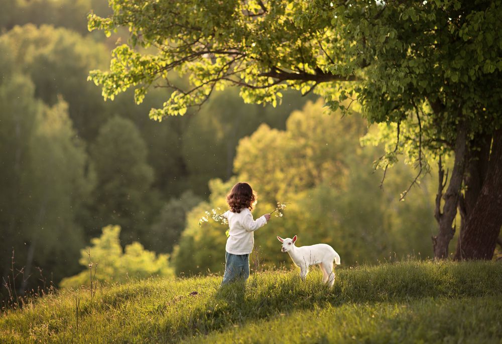 Photograph by Татьяна Кудрова