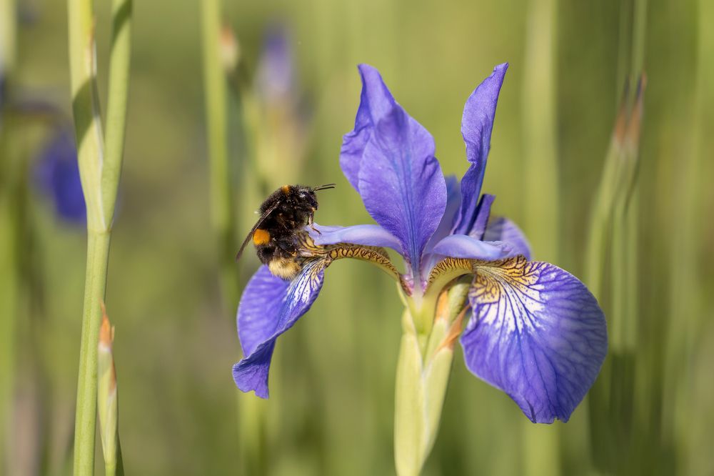 Обеденный перерыв