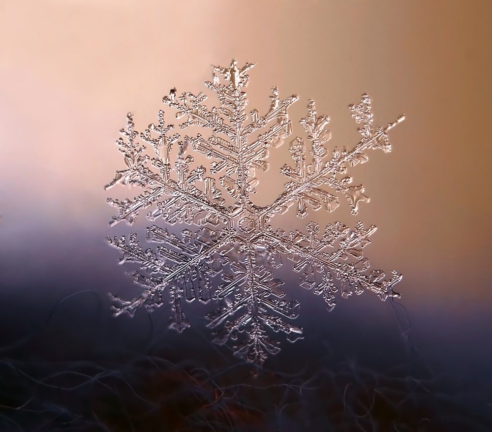 Геометрия в природе