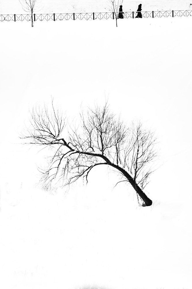 Дерево жизни.