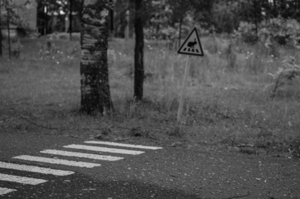 Заячья тропа