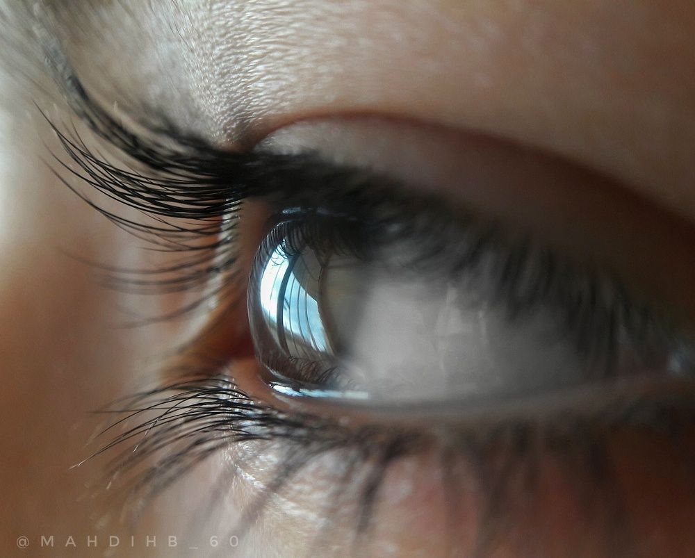 A window to the world