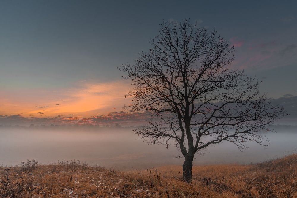 Пора листвы откружилось.