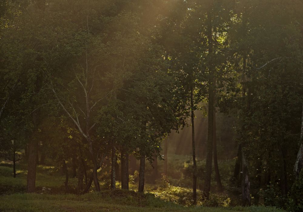 Photograph by Марина Левицкая