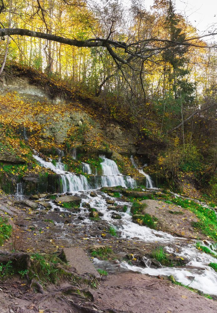Осень золотая