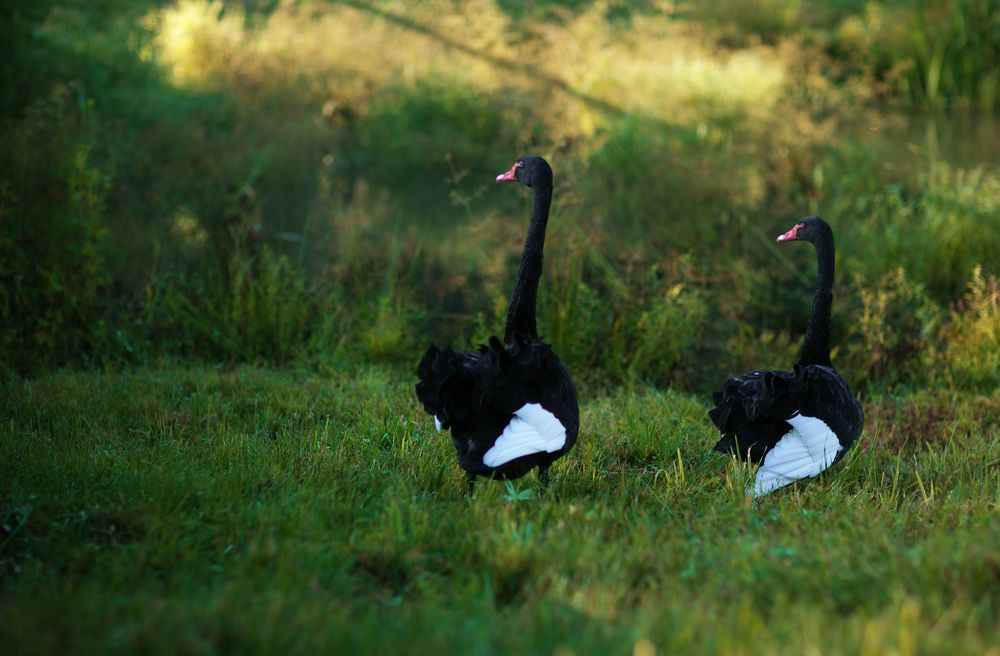 Photograph by Марина Левицкая