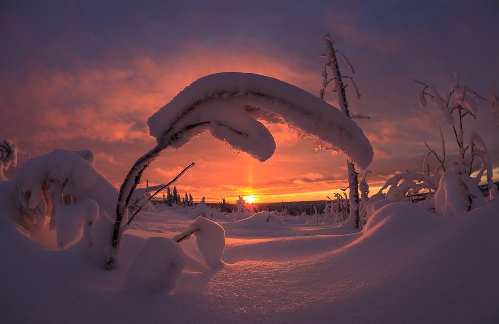 Вечернее солнце