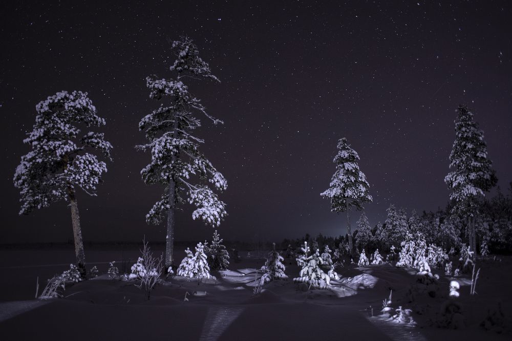 Звезды в ночи