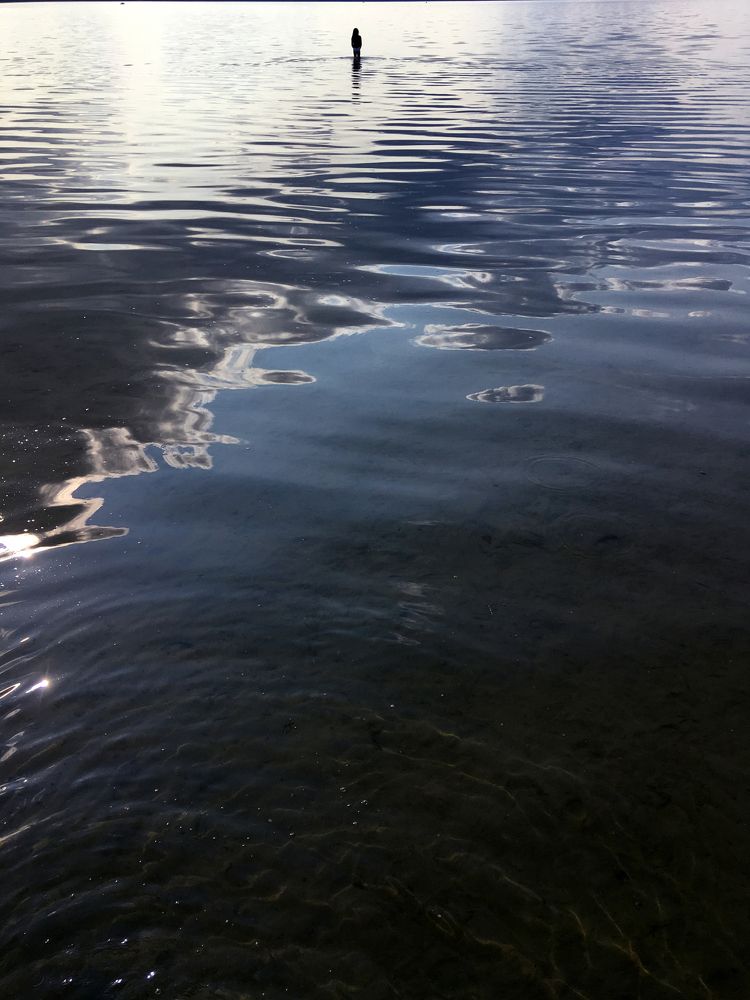 На Плещеевом озере