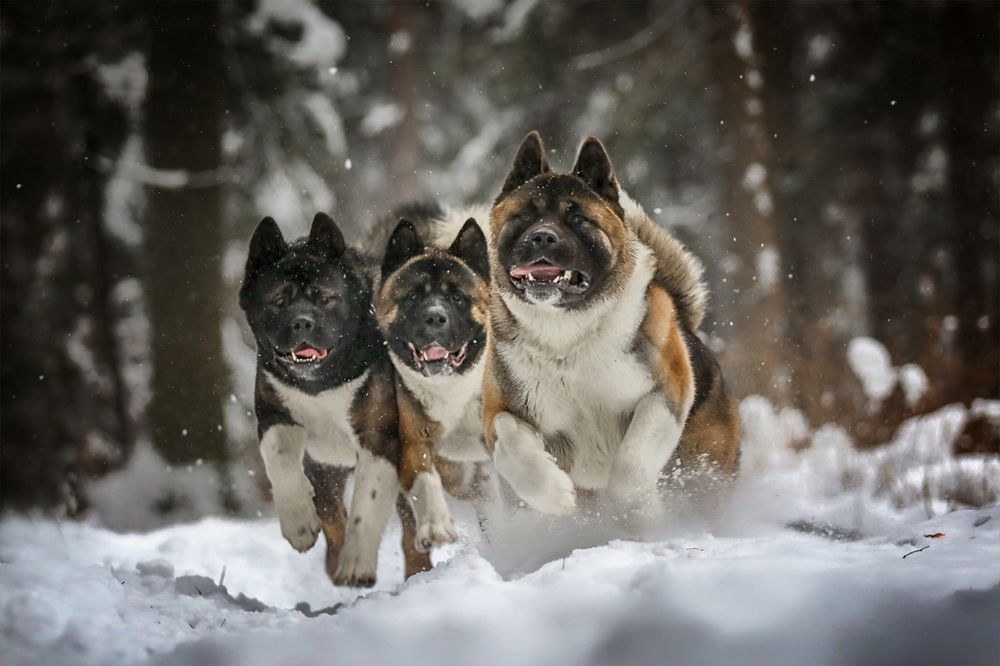 Photograph by Андрей Ершов