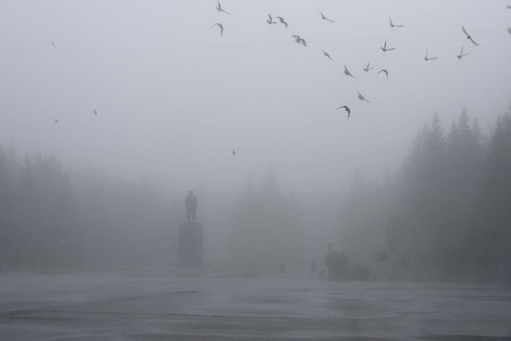 Туман в городе