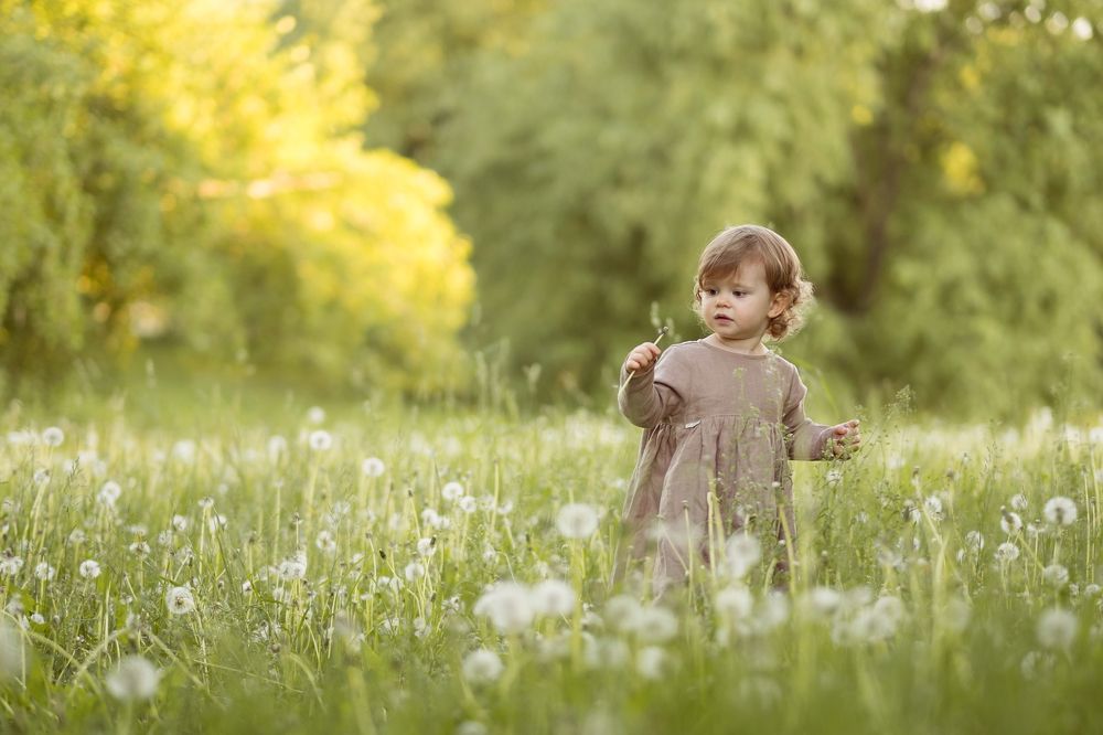 Маленький одуванчик