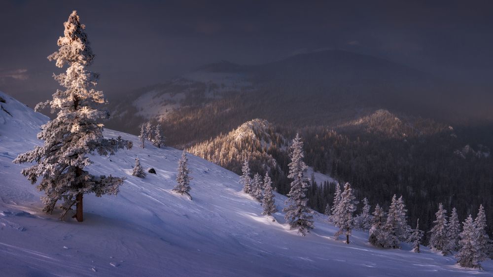 Ускользающий свет